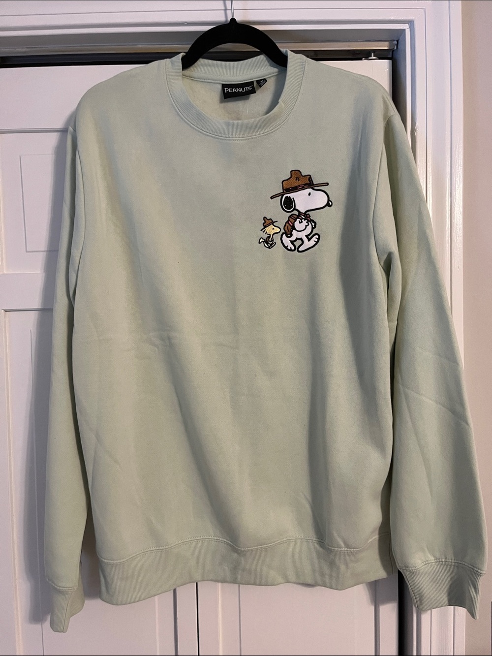 NWT Peanuts Mint Green Snoopy & Woodstock Embroidered Sweatshirt - Picture 3 of 6